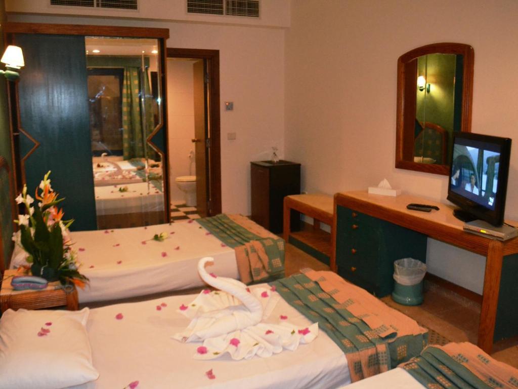 Aida 2 Hotel Naama Bay 샤름 엘 셰이크 객실 사진